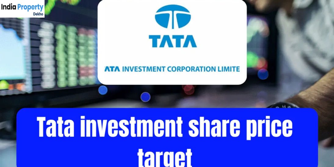 tata investment share price